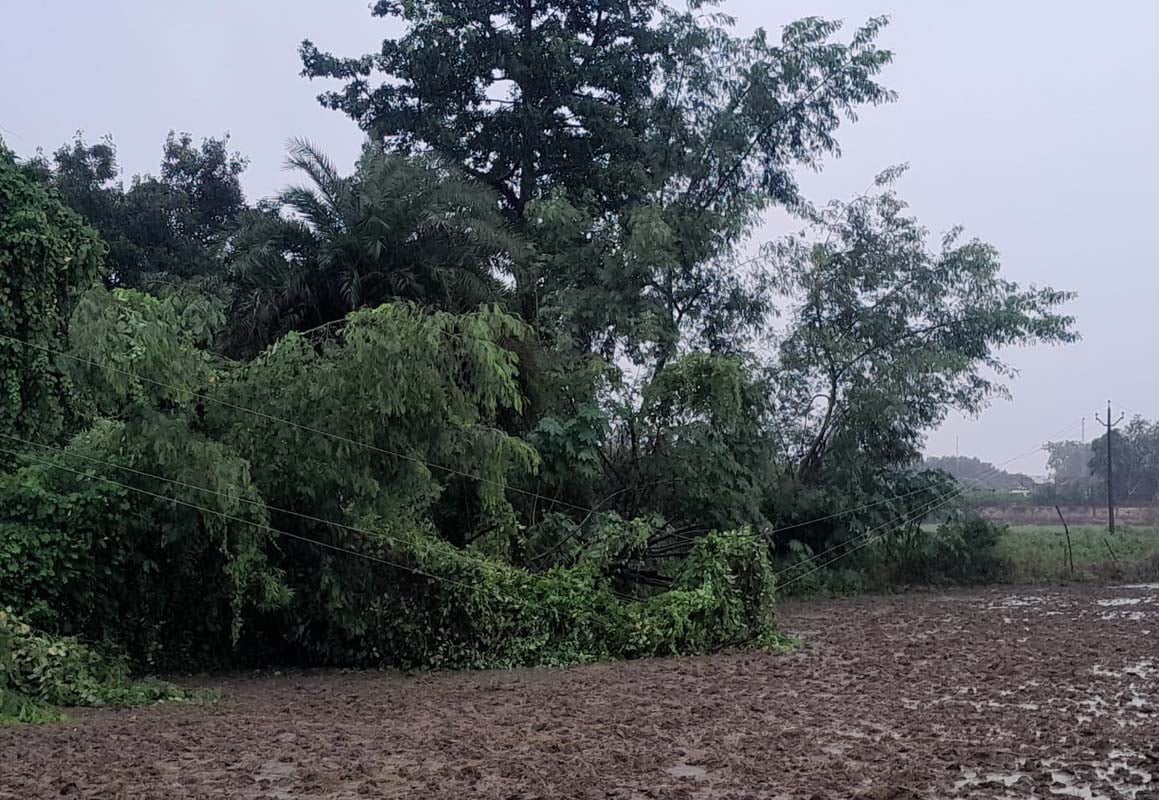 कलान के विद्युत उपकेंद्र में हुआ जलभराव। संवाद कलान के विद्युत उपकेंद्र में हुआ जलभराव। संवाद