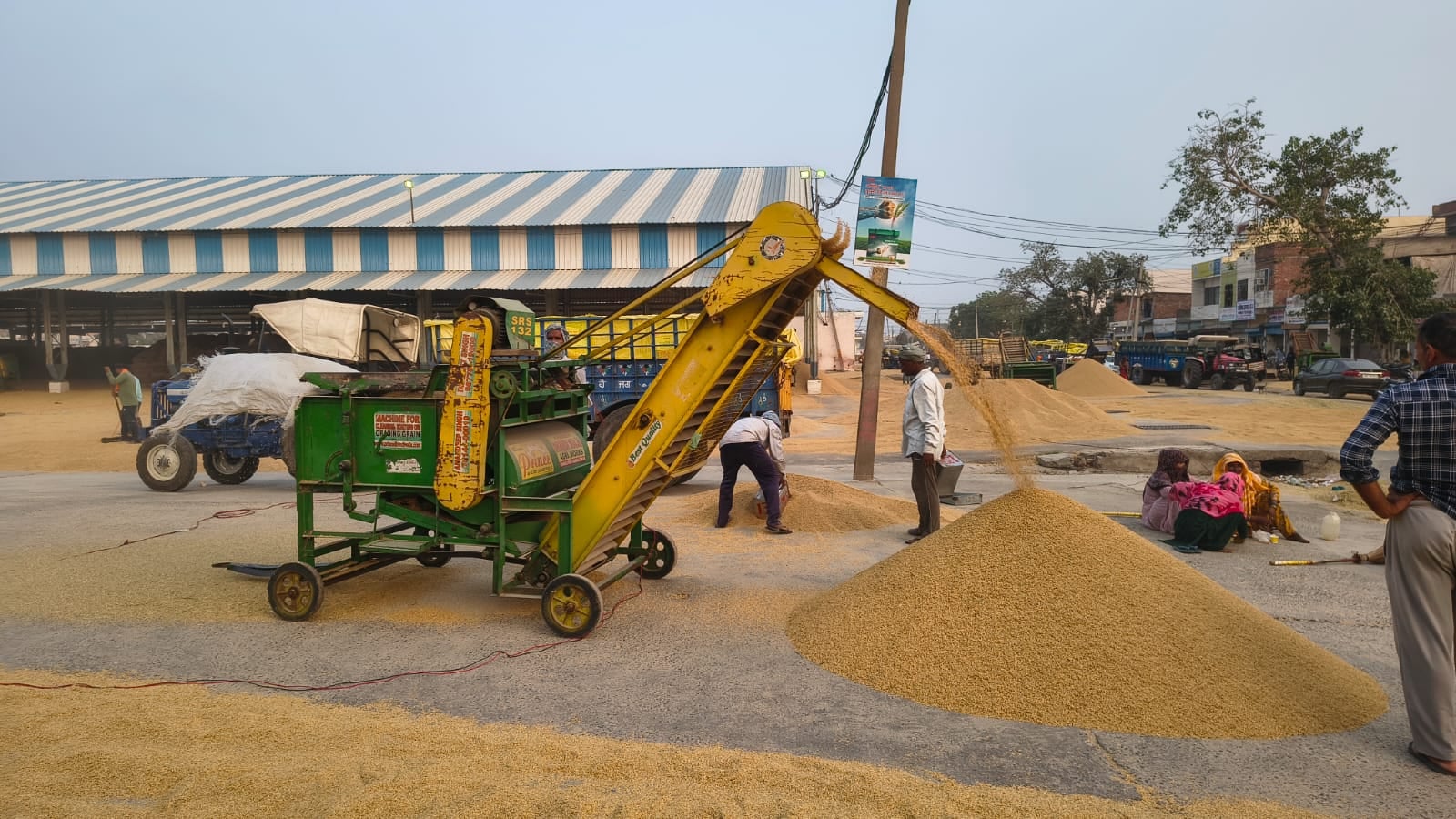 मंडी में सड़क पर पड़ा धान। संवाद मंडी में सड़क पर पड़ा धान। संवाद