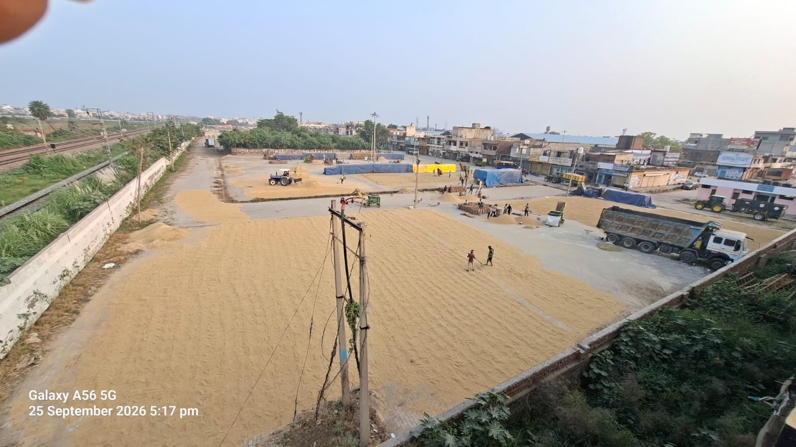मंडी में सड़क पर पड़ा धान। संवाद मंडी में सड़क पर पड़ा धान। संवाद