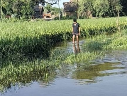 सुबह बारिश के दौरान छाता लेकर स्कूल जाते छात्र-छात्राएं। संवाद सुबह बारिश के दौरान छाता लेकर स्कूल जाते छात्र-छात्राएं। संवाद