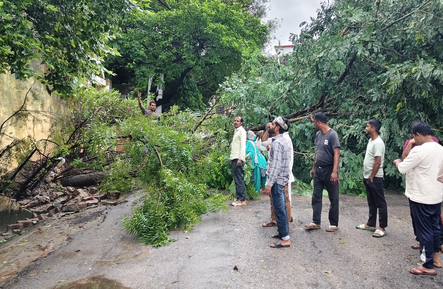 विकास भवन के पास गिरा पेड़ व बिजली का खंभा, टूटे तार। संवाद विकास भवन के पास गिरा पेड़ व बिजली का खंभा, टूटे तार। संवाद