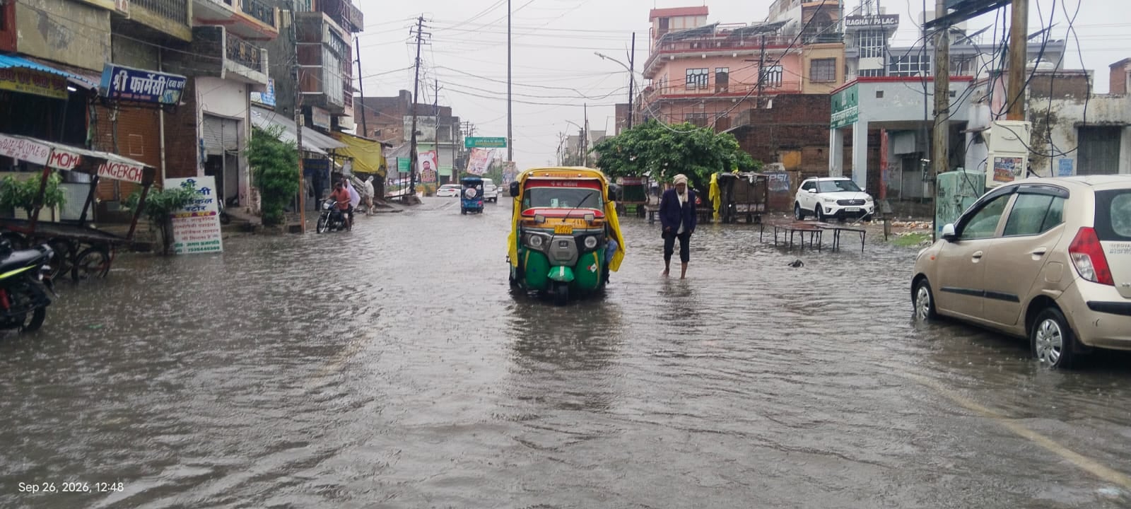 अछल्दा के डुहल्ला गांव में गिरा पड़ा पेड़। संवाद अछल्दा के डुहल्ला गांव में गिरा पड़ा पेड़। संवाद