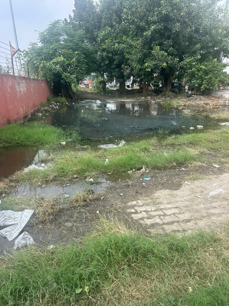अनाजमंडी परिसर में उगी घास व पसरा कचरा। अनाजमंडी परिसर में उगी घास व पसरा कचरा।