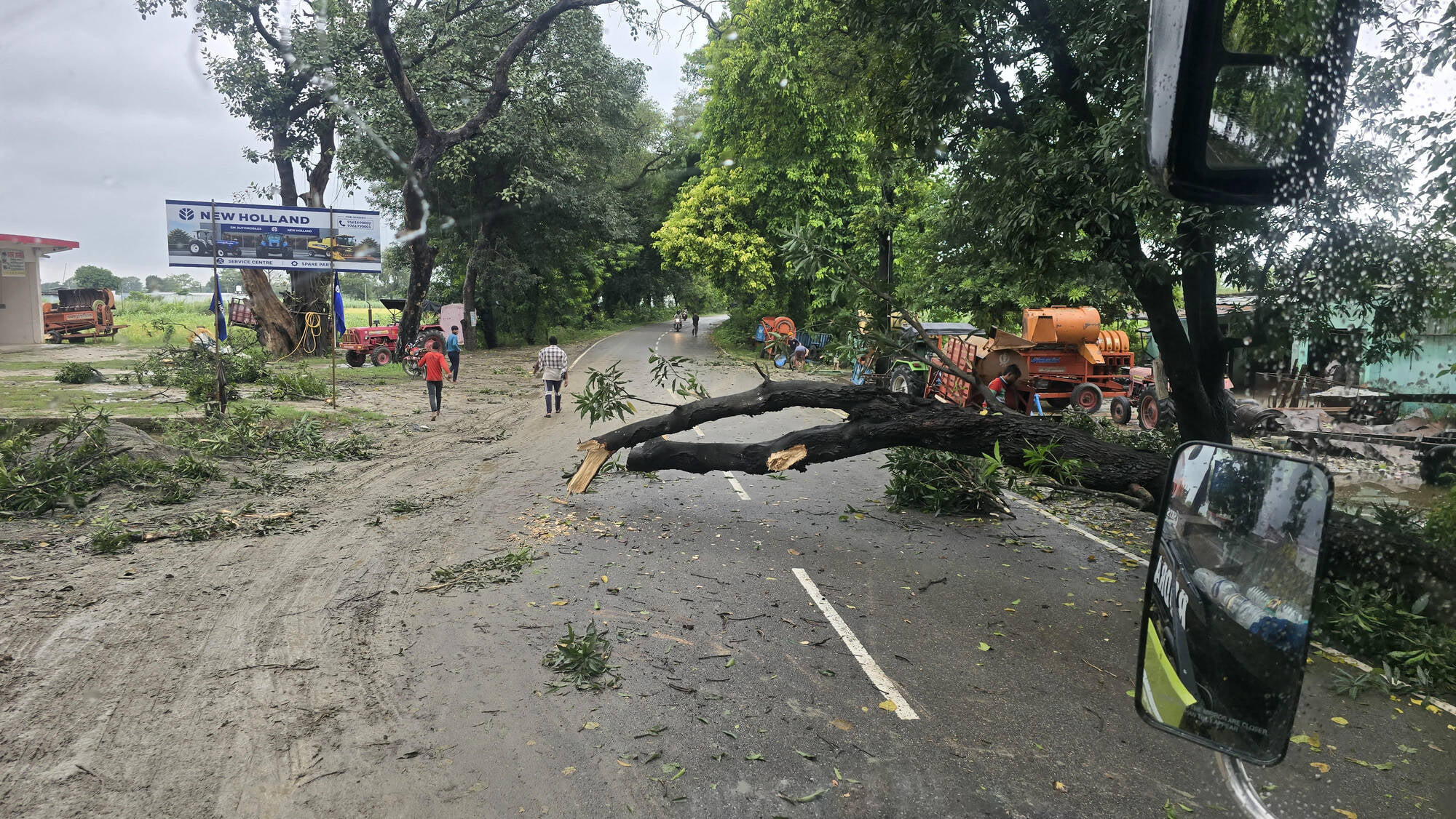 भीरा मैलानी जंगल में मार्ग पर गिरे पेड़। स्रोत: वन विभाग भीरा मैलानी जंगल में मार्ग पर गिरे पेड़। स्रोत: वन विभाग