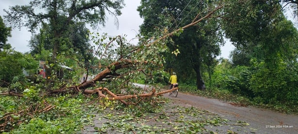 बारिश से तबाही