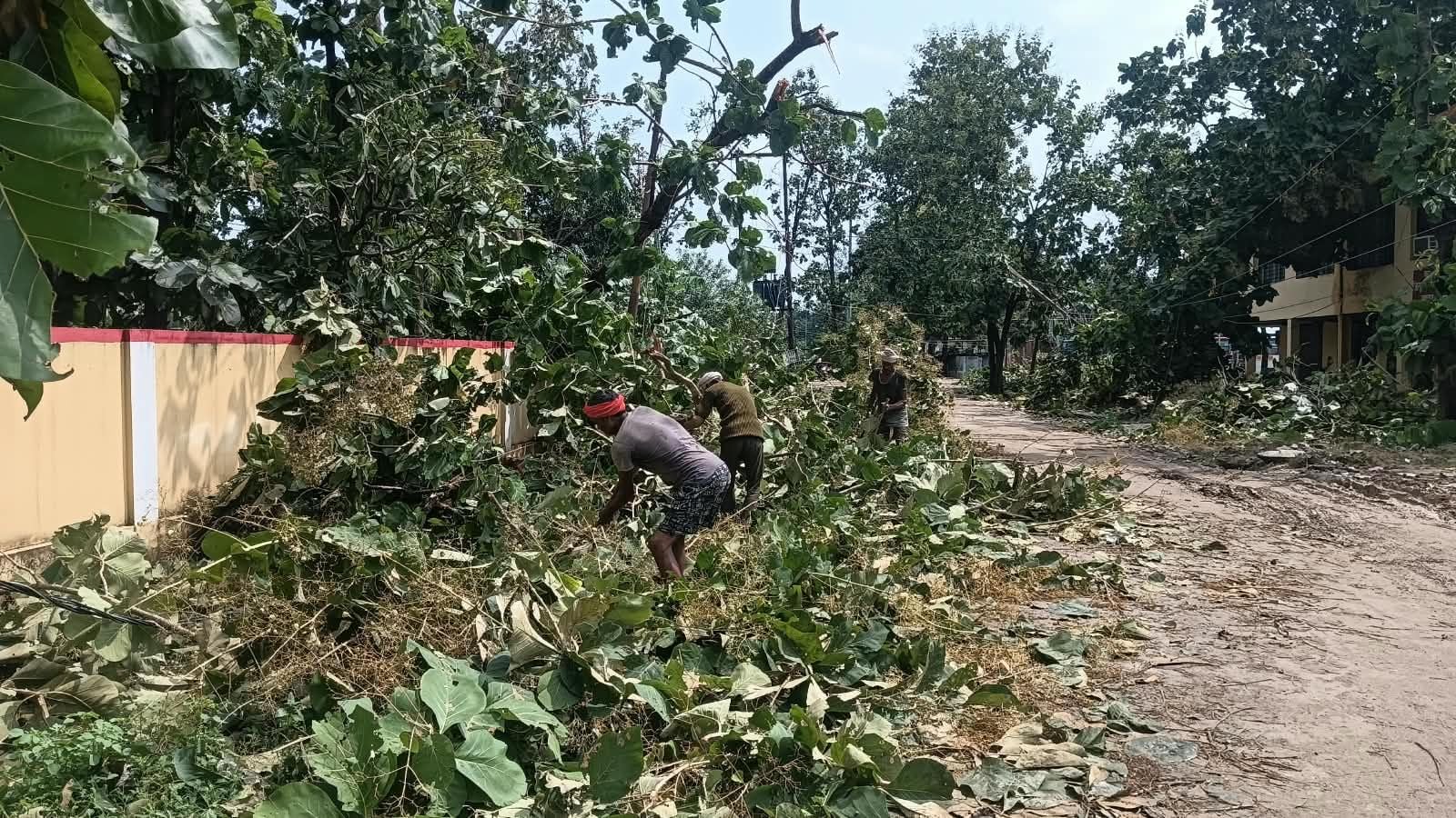फोटो-17-बलरामपुर के पतझी कला में बारिश के चलते गिरी दीवार।-संवाद फोटो-17-बलरामपुर के पतझी कला में बारिश के चलते गिरी दीवार।-संवाद