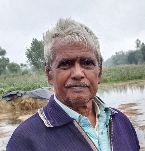 फोटो 18 कासगंज में खेत में बिछी धान की फसल में भरा पानी। स्रोत: संवाद फोटो 18 कासगंज में खेत में बिछी धान की फसल में भरा पानी। स्रोत: संवाद