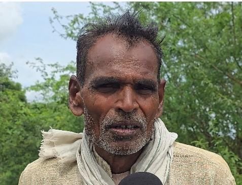 फोटो 27 एचएएमपी 41- सरीला के धौहल बुजुर्ग गांव में पानी में डूबी तिल की फसल। संवाद फोटो 27 एचएएमपी 41- सरीला के धौहल बुजुर्ग गांव में पानी में डूबी तिल की फसल। संवाद