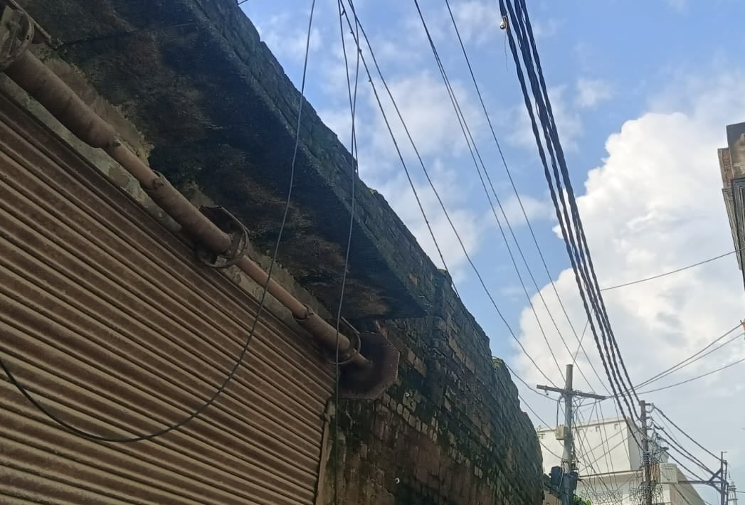 महाराजगंज से बिलरियागंज मार्ग पर गिरा पेड़। संवाद