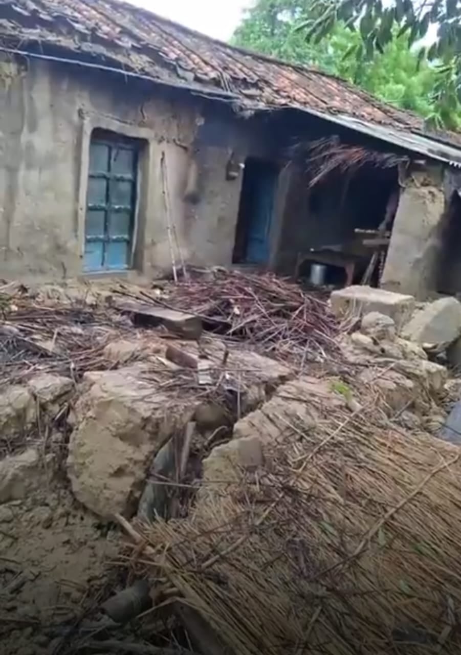 महाराजगंज से बिलरियागंज मार्ग पर गिरा पेड़। संवाद