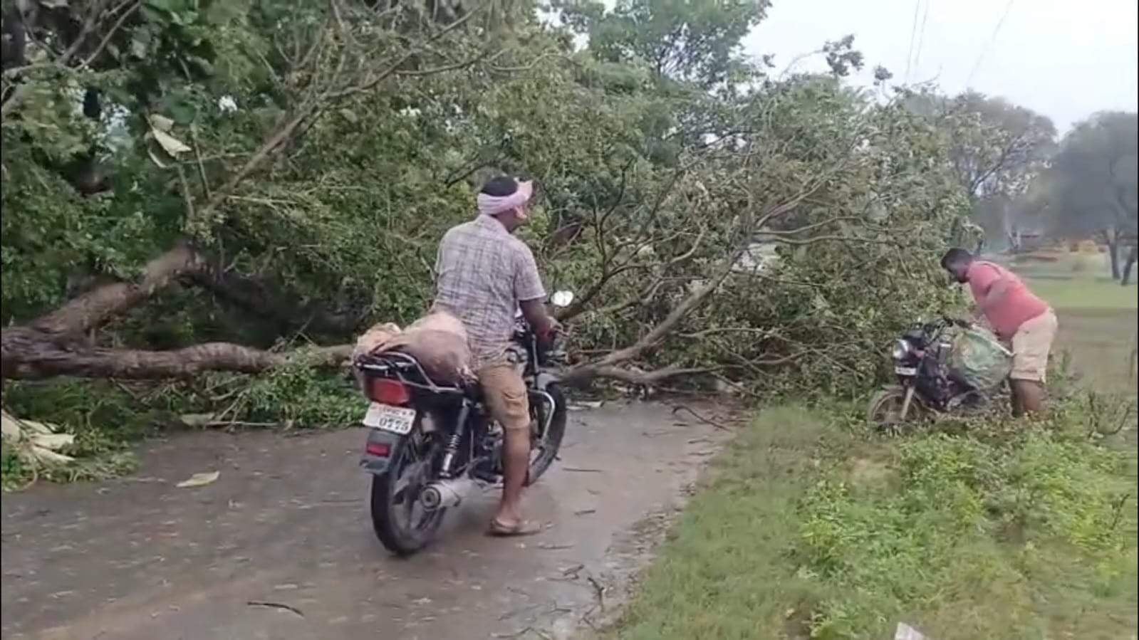 नई बाजार पूर्व माध्यमिक विद्यालय की बाउंड्री पर गिरा पेड़। संवाद नई बाजार पूर्व माध्यमिक विद्यालय की बाउंड्री पर गिरा पेड़। संवाद