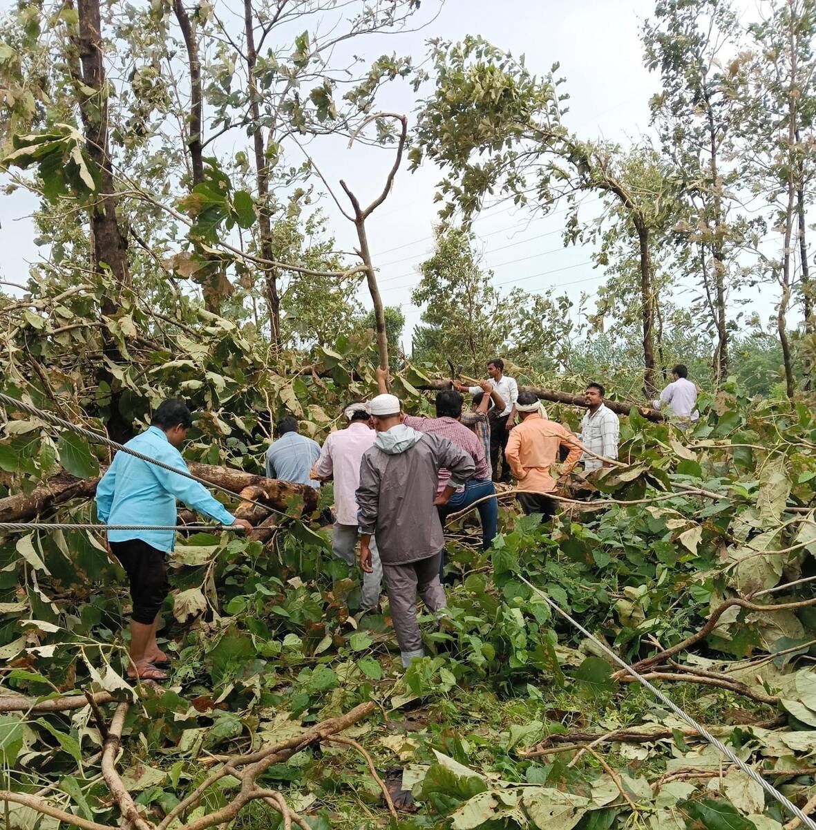 आंधी-बारिश से आई गड़बड़ी दूर करने में जुटे बिजलीकर्मी। आंधी-बारिश से आई गड़बड़ी दूर करने में जुटे बिजलीकर्मी।