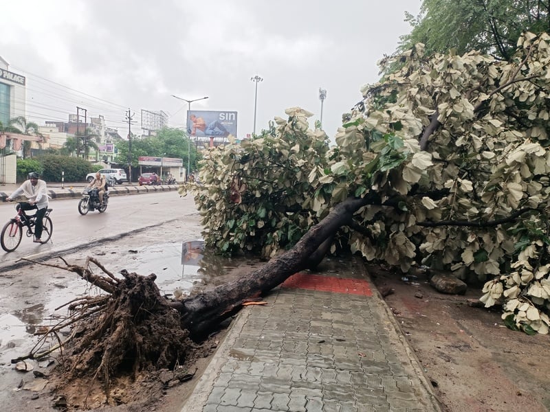 बारिश थमी पर जारी रहा मुसीबतों का सिलसिला बारिश थमी पर जारी रहा मुसीबतों का सिलसिला