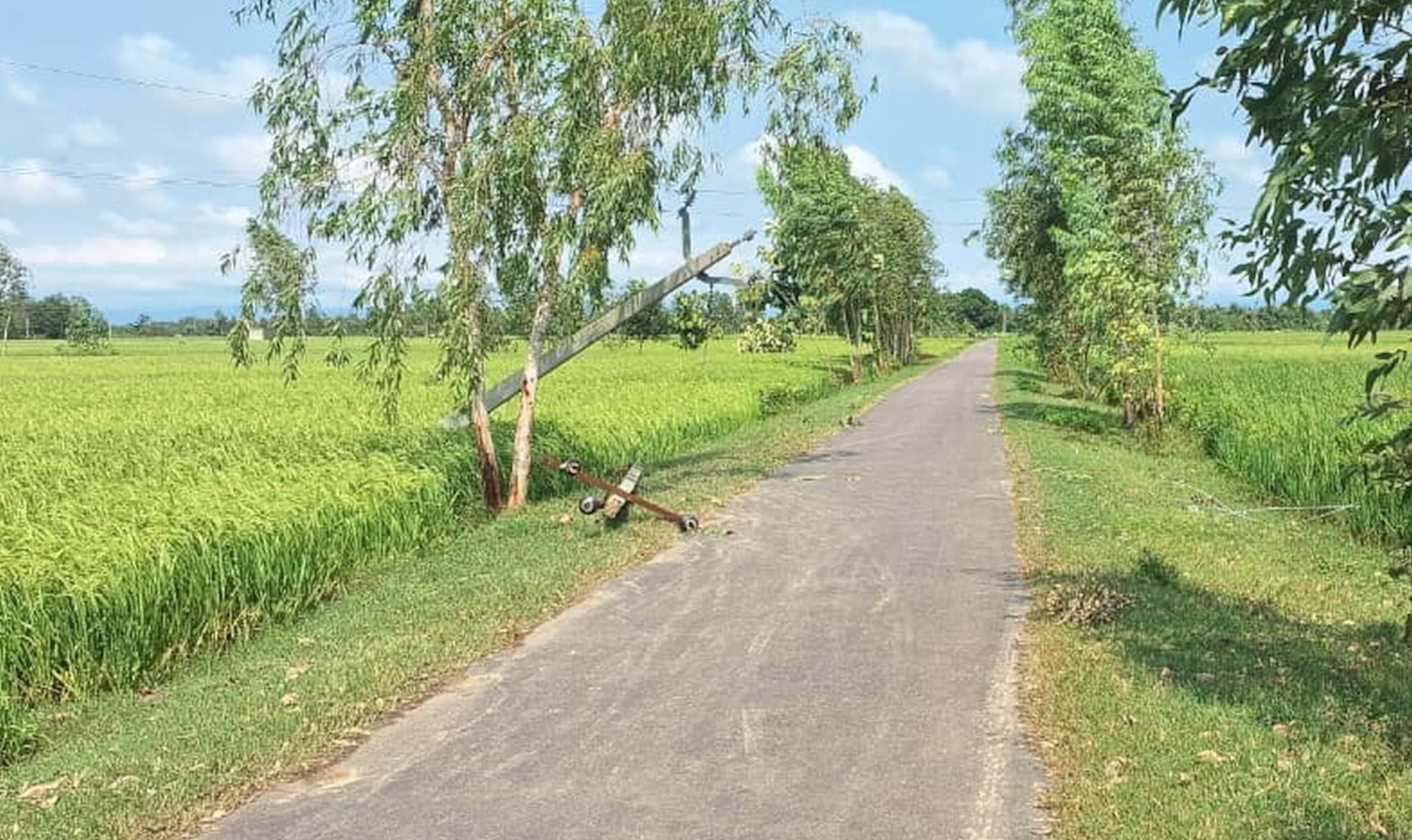 बारिश व तेज हवा से टूटे खंभे और तार। बारिश व तेज हवा से टूटे खंभे और तार।