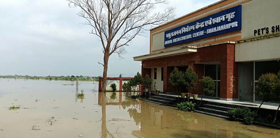 हनुमत धाम मंदिर परिसर में भरा खन्नौत नदी का पानी। संवाद