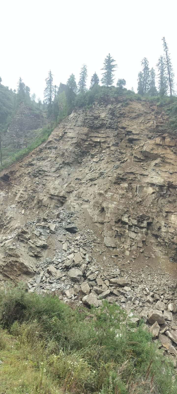 जांगलिख गांव के समीप पहाड़ी से हुआ भूस्खलन। संवाद
