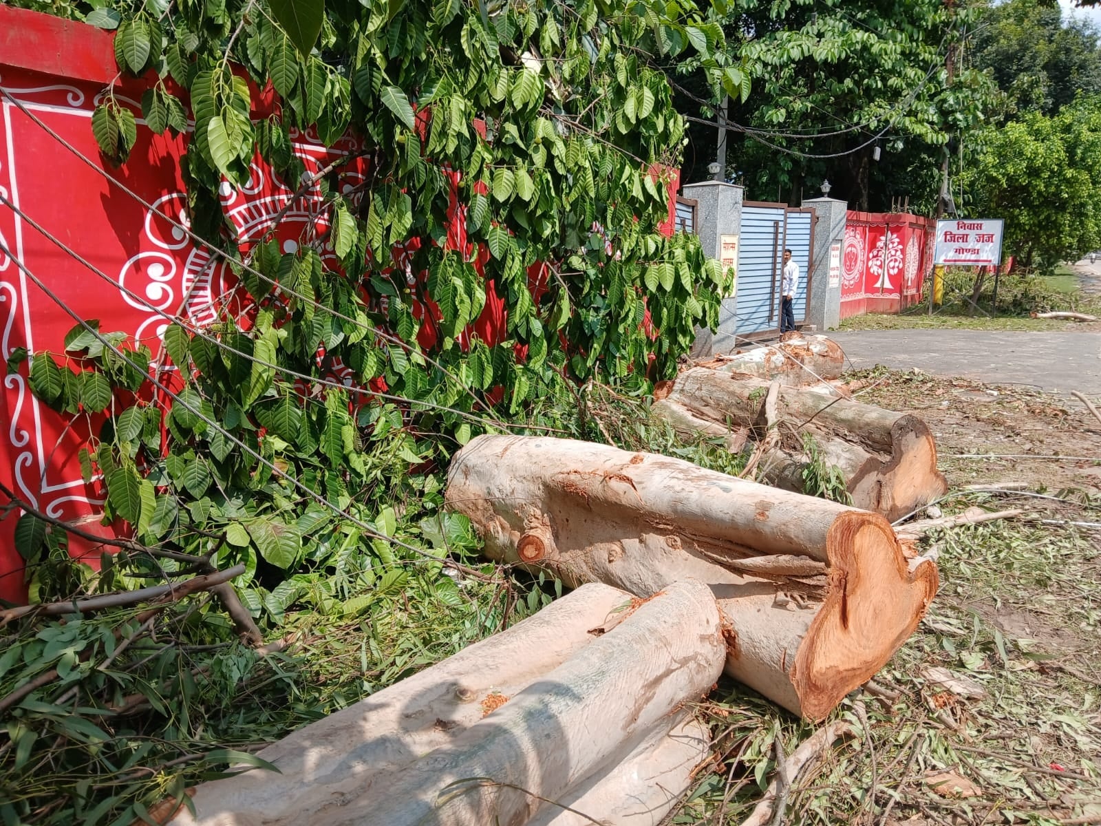 खराब माैसम में टूटे बिजली के पोल और लाइन का निरीक्षण करते पावर काॅर्पोरेशन के एमडी संदीप भागिया खराब माैसम में टूटे बिजली के पोल और लाइन का निरीक्षण करते पावर काॅर्पोरेशन के एमडी संदीप भागिया