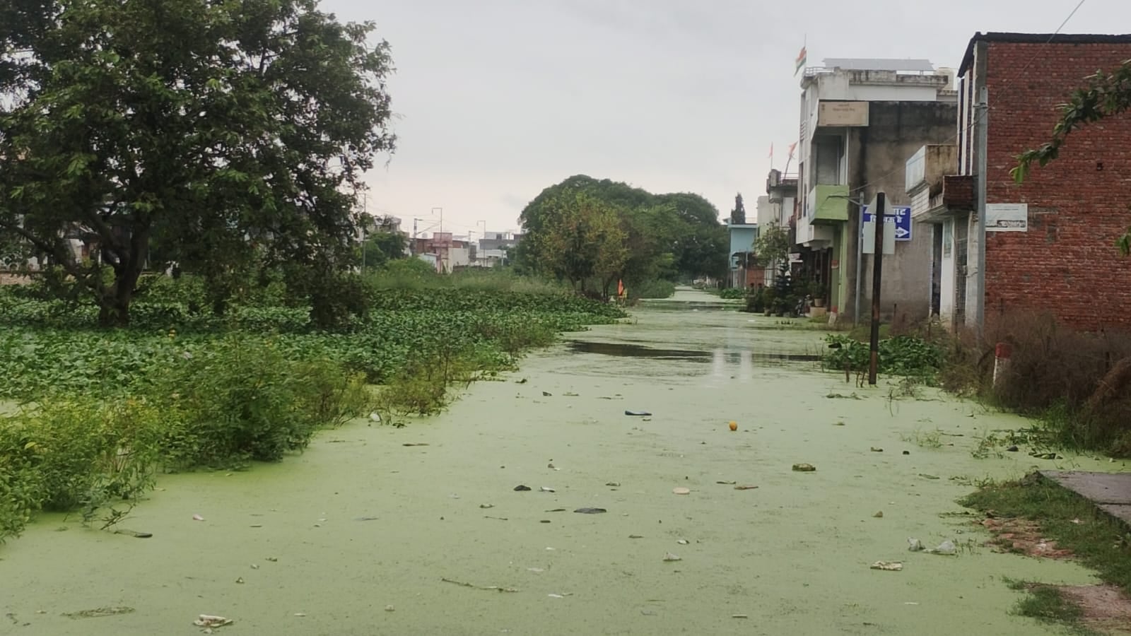 ओमप्रकाश ओमप्रकाश