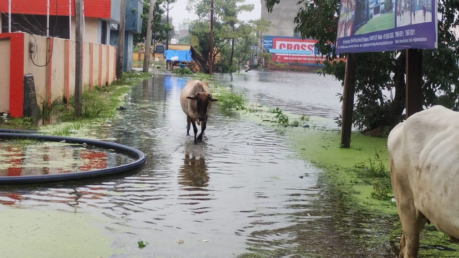 ओमप्रकाश ओमप्रकाश