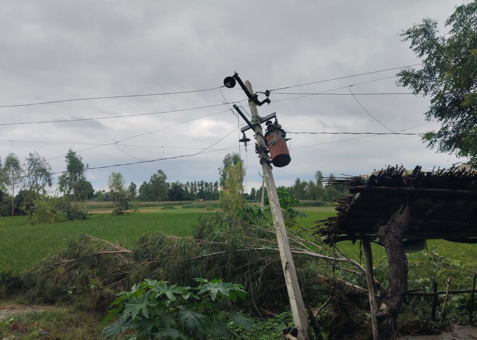 औरास में टूटा पड़ा बिजली का पोल। संवाद औरास में टूटा पड़ा बिजली का पोल। संवाद