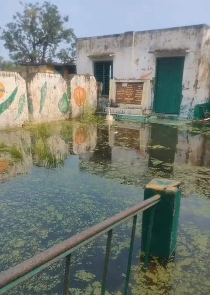 प्राथमिक विद्यालय दिनारी द्वितीय में भरा पानी व रुपईडीह में गिरा पेड़। - संवाद