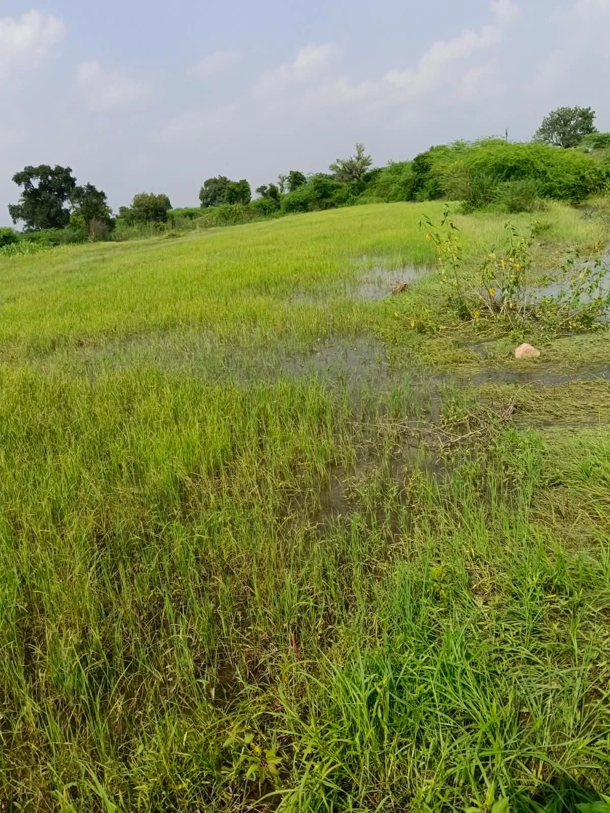 फोटो-20-बांदा-टांडा हाईवे पर हुए जलभराव और गड्ढों में फंसी ईंट लदी ट्राली। संवाद