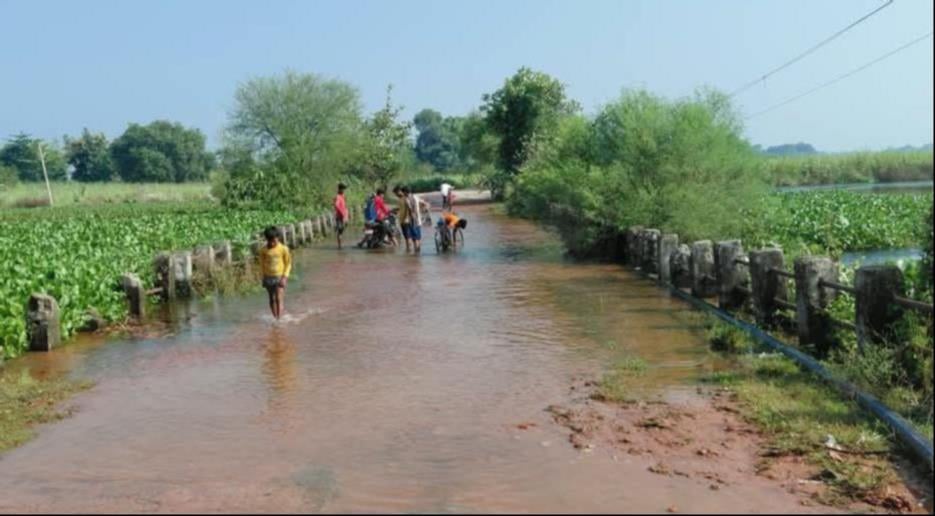 गोंडा में बाढ़ के हालात बयां करतीं तस्वीरें। संवाद