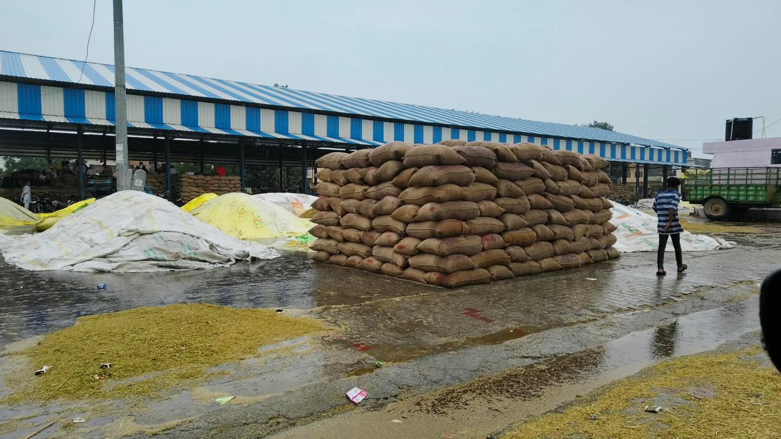 पाई अनाजमंडी में शेडों के नीचे रखा वेयरहाउस का स्टाक। संवाद
