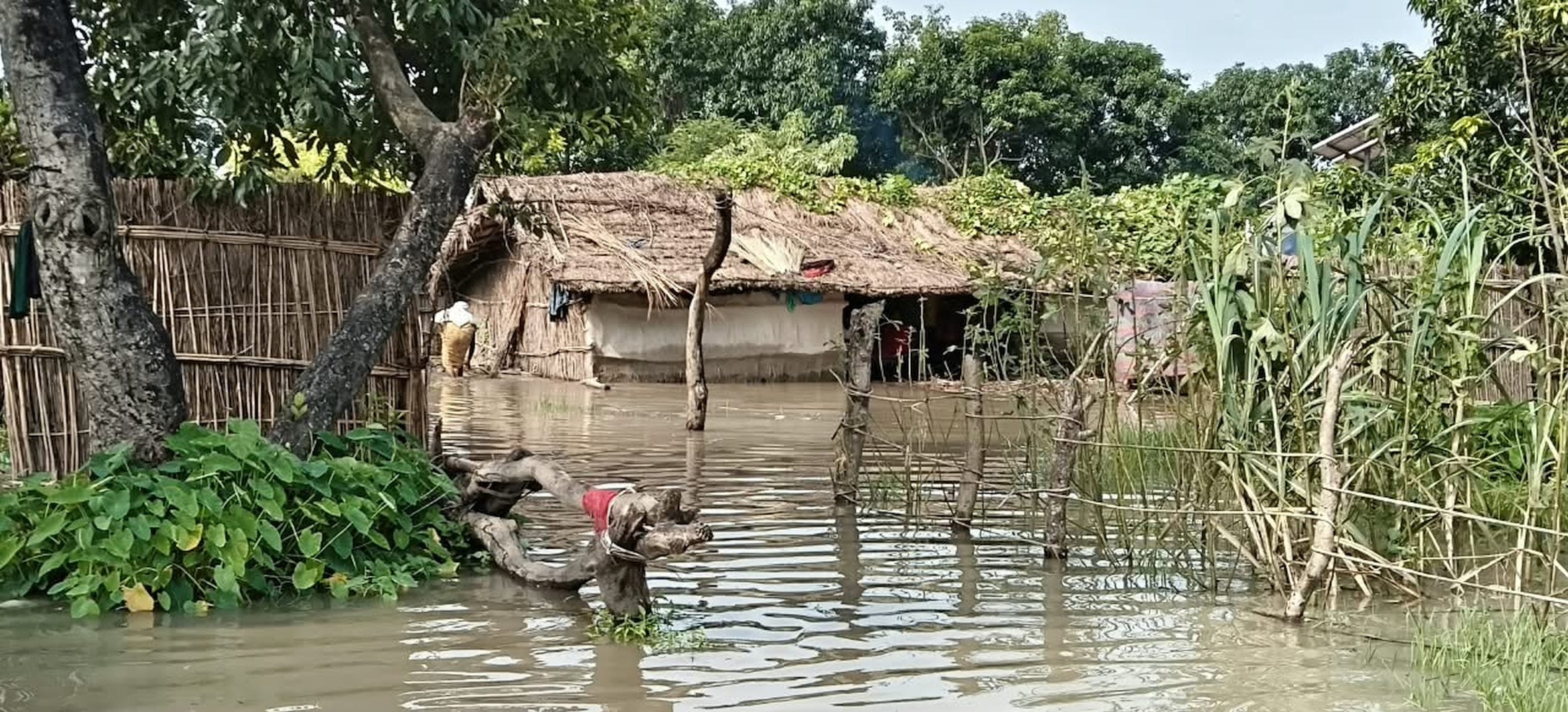 तराई में बाढ़ से बिगड़े हालात। तराई में बाढ़ से बिगड़े हालात।