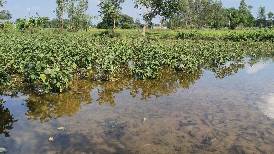 इटौंजा के गांवों में भरा पानी।