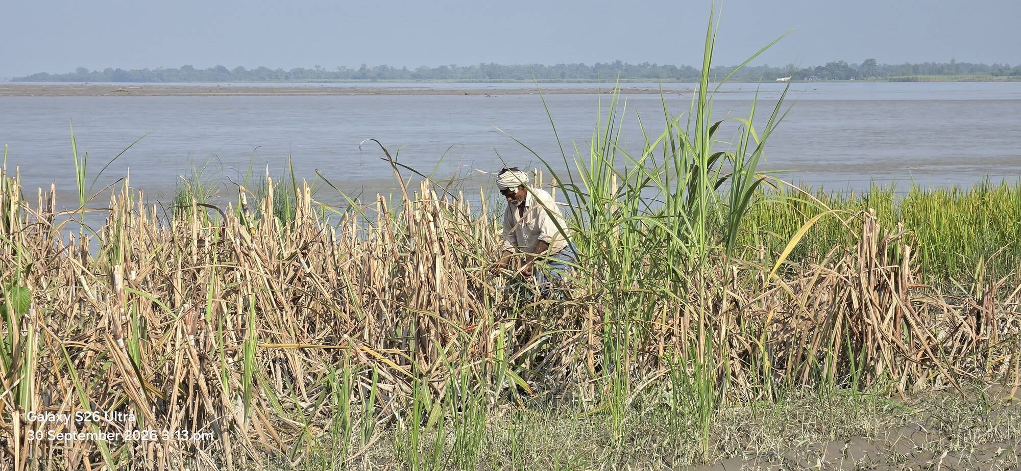 बेचू लाल