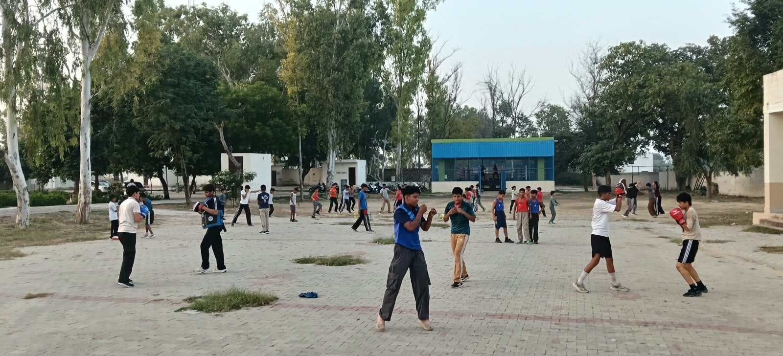 गांव भाणा में बॉक्सिंग नर्सरी में अभ्यास करते खिलाड़ी। कोच