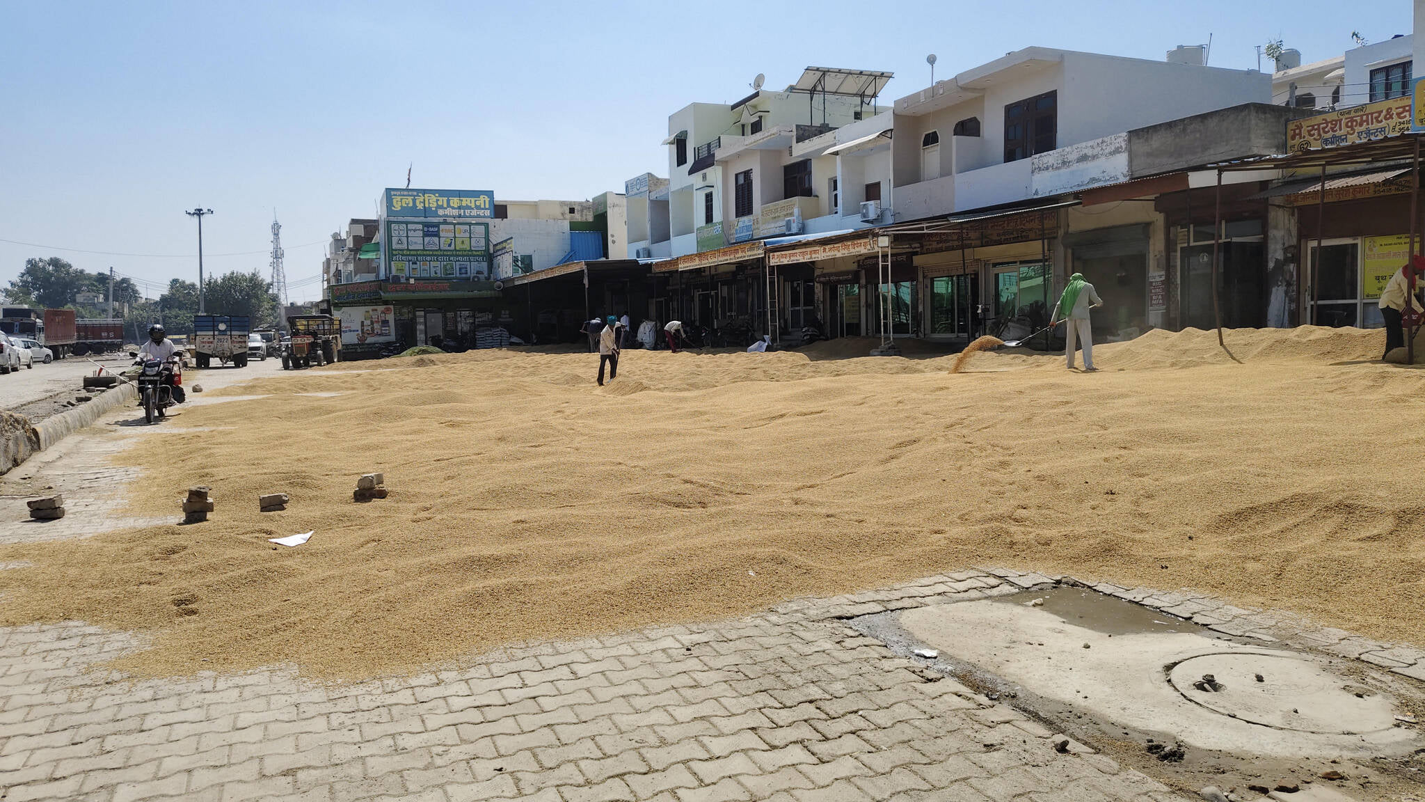 नई अनाजमंडी कैथल में सुखाने के लिए सड़क पर डाला गया धान। संवाद