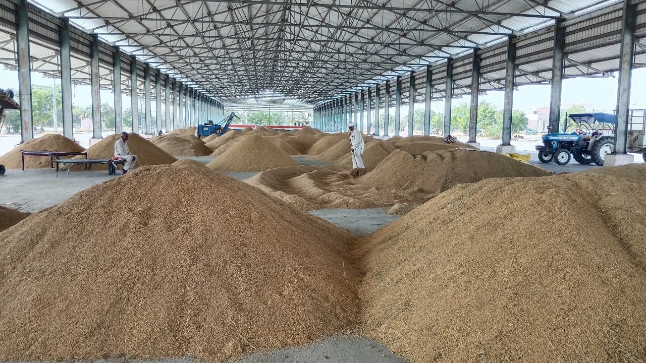 शहर की अतिरिक्त अनाजमंडी में किसानों की समस्या सुनते मार्केट कमेटी के सचिव अमित रोहिल्ला। संवाद शहर की अतिरिक्त अनाजमंडी में किसानों की समस्या सुनते मार्केट कमेटी के सचिव अमित रोहिल्ला। संवाद