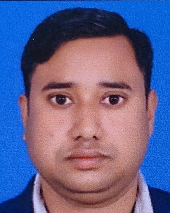 शिमला मिर्च की फसल। संवाद शिमला मिर्च की फसल। संवाद