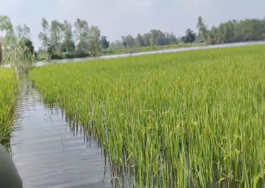 बछरावां क्षेत्र के बरचंदा गांव के पास सई नदी उफनाने से आने-जाने वाले रास्ते में भरा पानी। बछरावां क्षेत्र के बरचंदा गांव के पास सई नदी उफनाने से आने-जाने वाले रास्ते में भरा पानी।