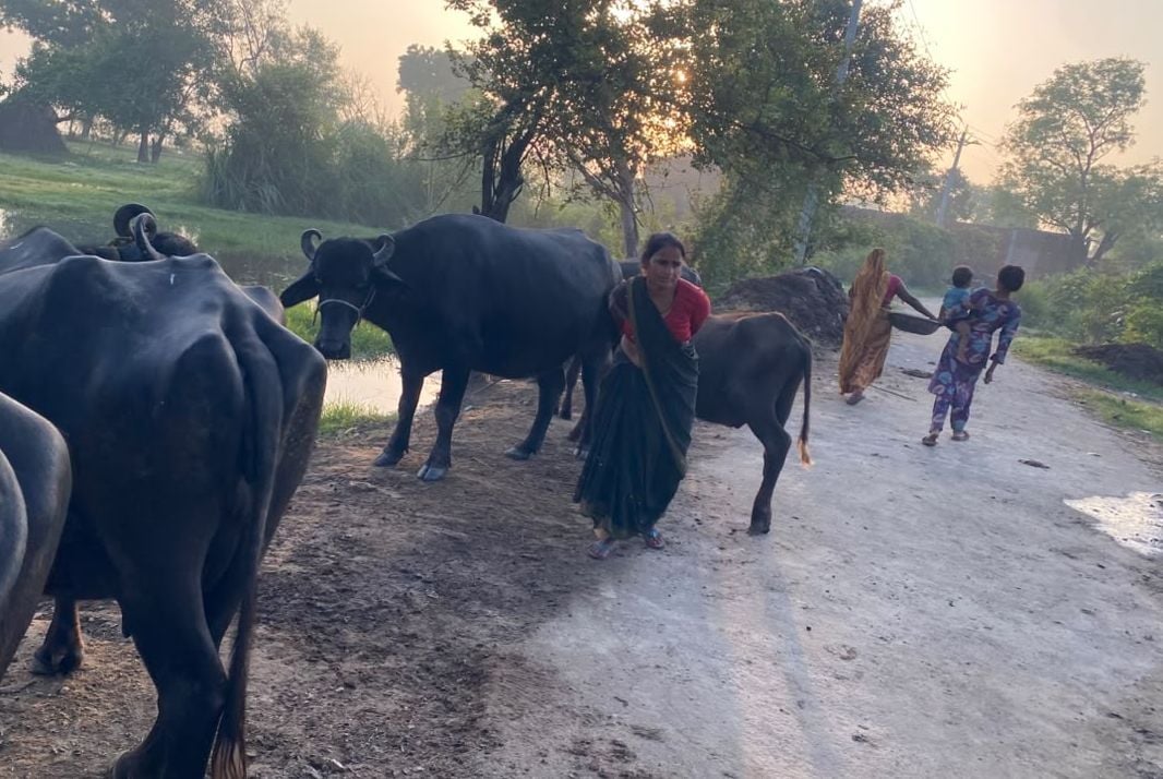 फोटो 50- सुदवीर, नगला पदम। संवाद फोटो 50- सुदवीर, नगला पदम। संवाद