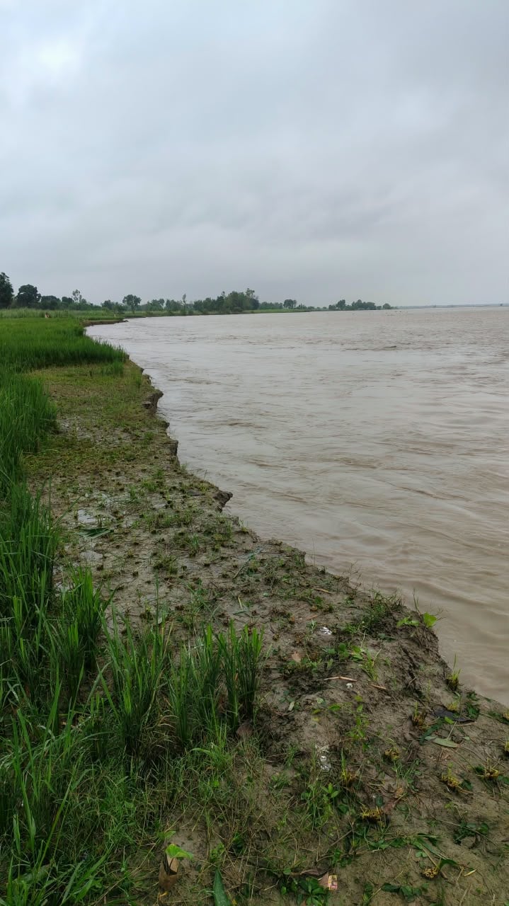 कोटवाधाम क्षेत्र में कोठीडीहा के पास कटान करती सरयू।