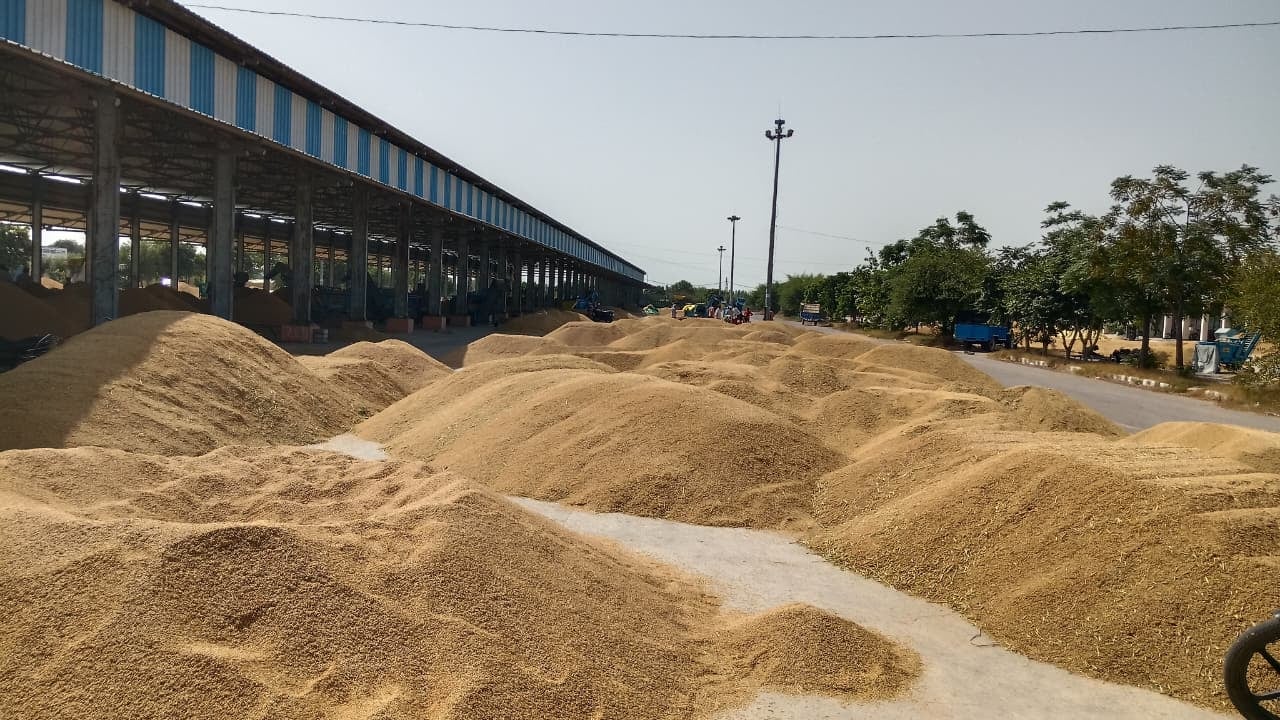 नई अनाजमंडी के गेट को ताला लगाकर प्रदर्शन करते किसान। संवाद नई अनाजमंडी के गेट को ताला लगाकर प्रदर्शन करते किसान। संवाद
