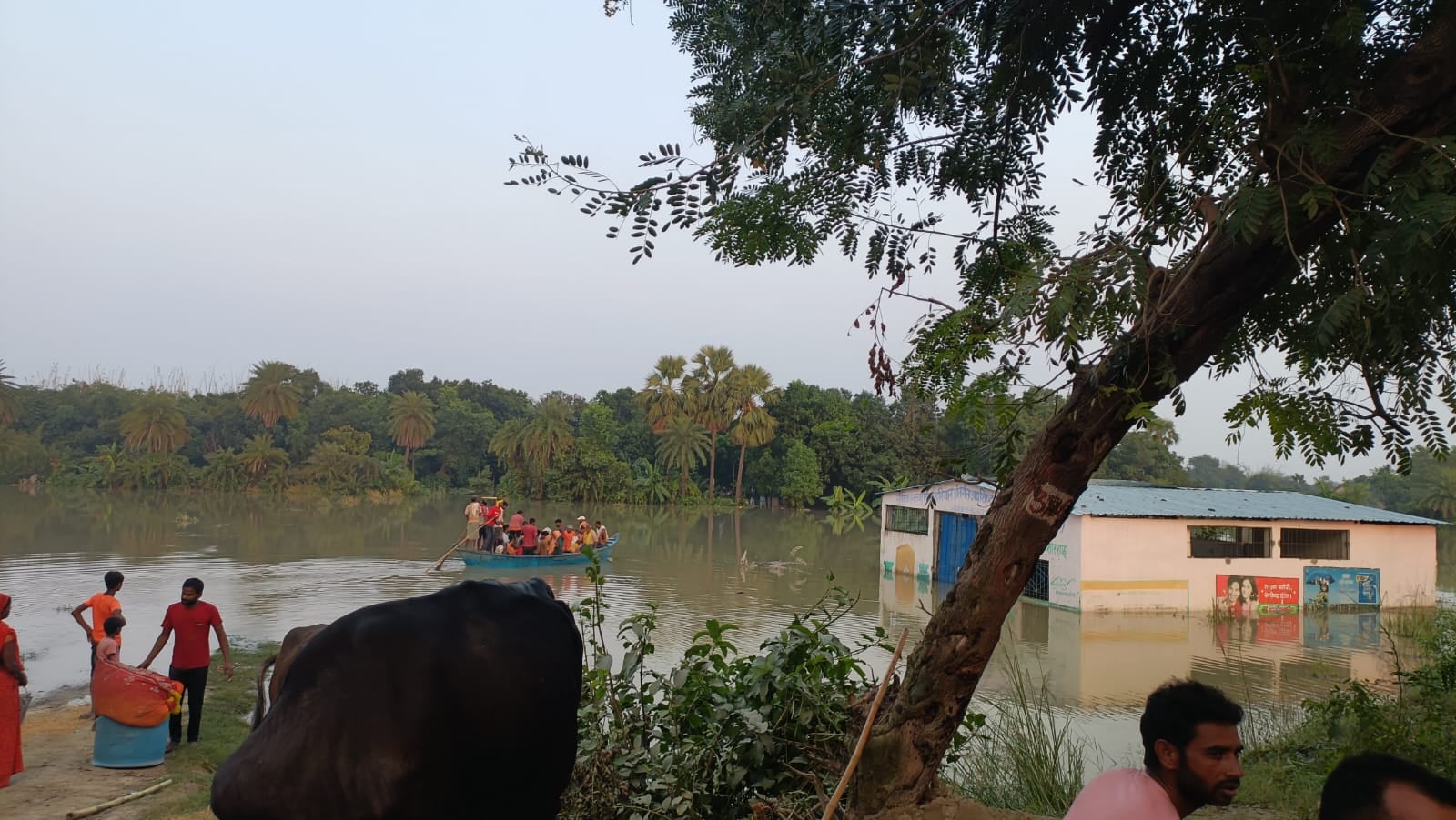 रिंग बांध टूटने से दहशत में ग्रामीण रिंग बांध टूटने से दहशत में ग्रामीण