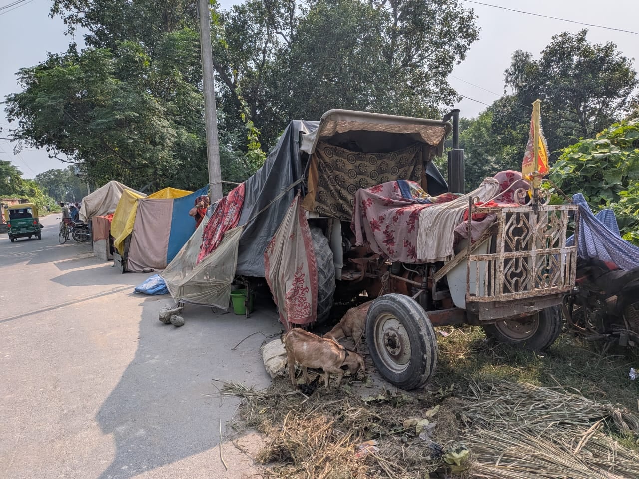 बांध पर प्लास्टिक तान कर शरण लिए लोग।संवाद बांध पर प्लास्टिक तान कर शरण लिए लोग।संवाद