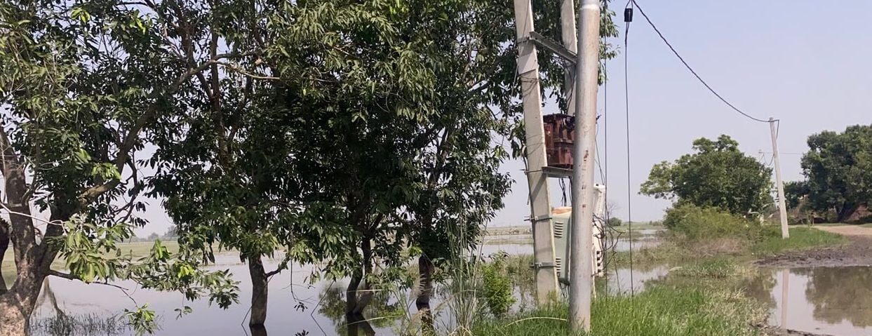 फोटो 27- राजेपुर कुर्रा में फसलों में भरा गंगा की बाढ़ का पानी। संवाद
