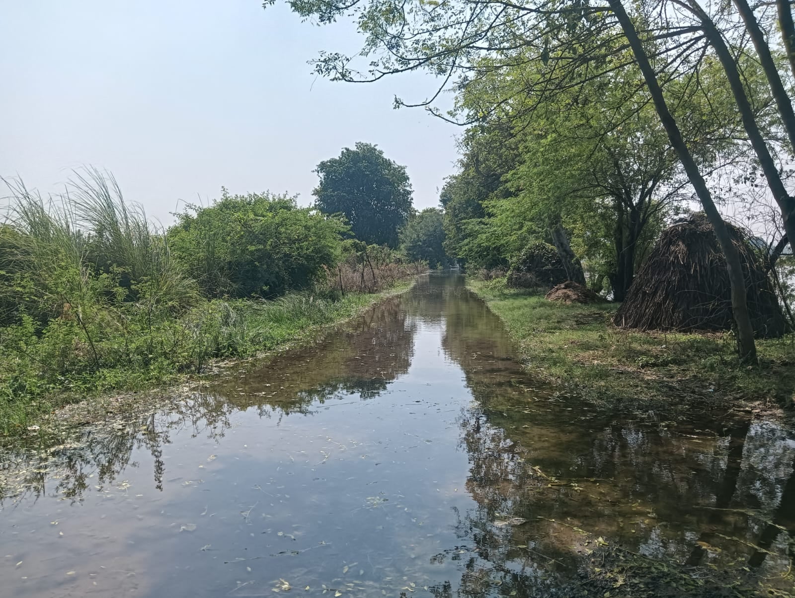 फोटो 28: जतुली गांव में भरा बाढ़ का पानी। संवाद