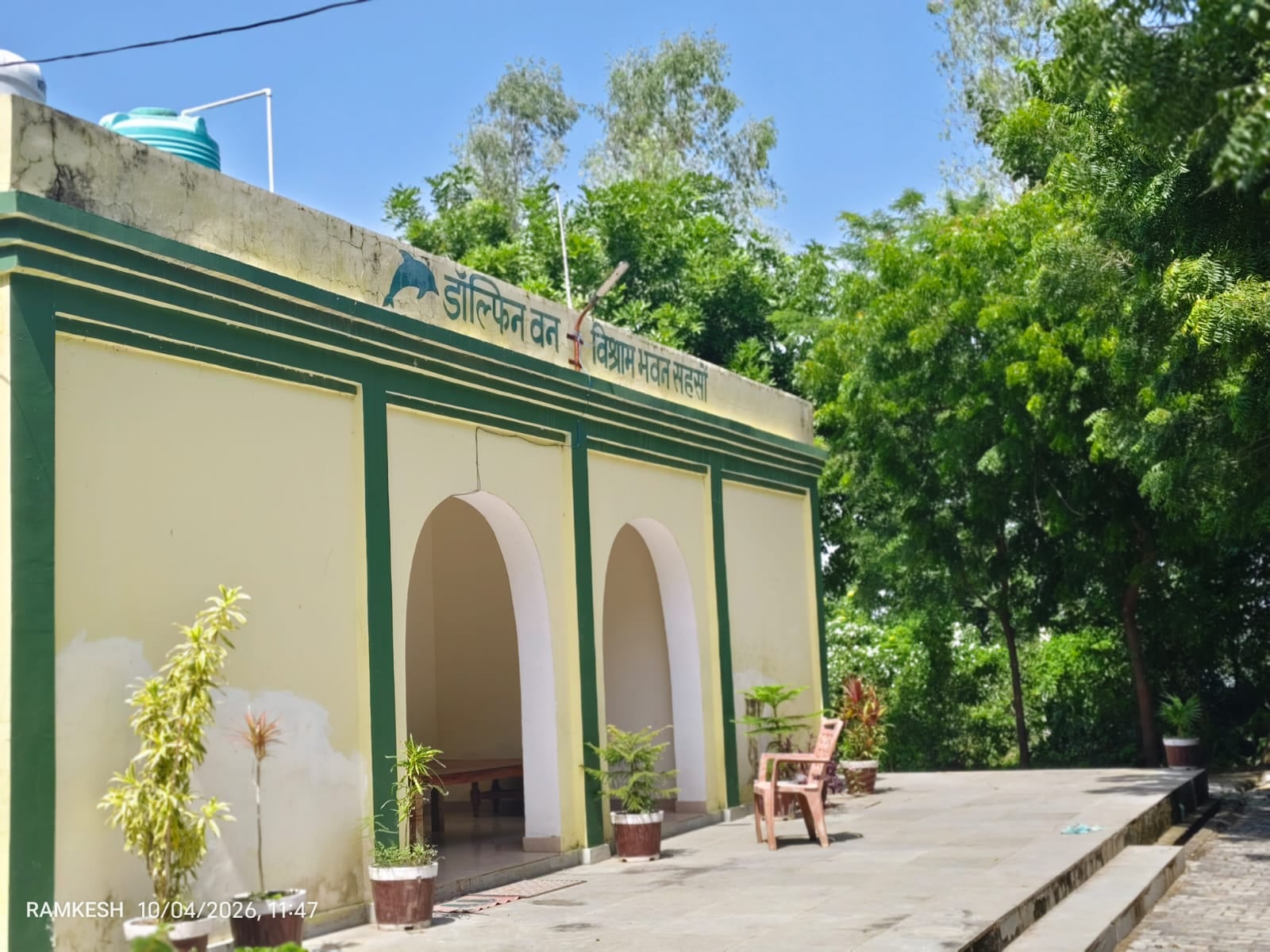 फोटो 11::चंबल में अठखेलियां करता डॉल्फिन। संवाद फोटो 11::चंबल में अठखेलियां करता डॉल्फिन। संवाद