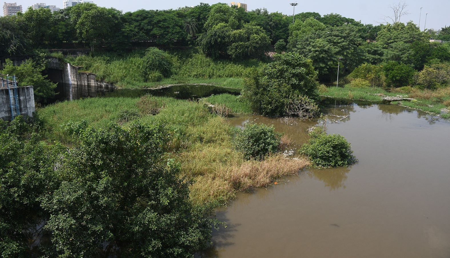 गोमती का जलस्तर शनिवार को बढ़ गया। 