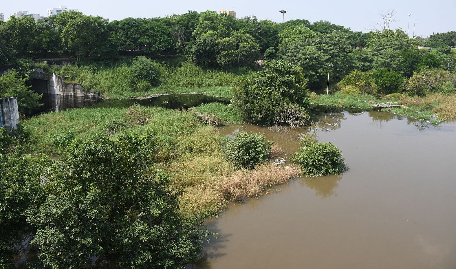 गोमती का जलस्तर शनिवार को बढ़ गया। 