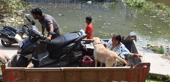गोमती नदी का जलस्तर बढ़ने से आई बाढ़।