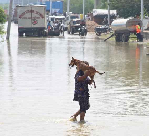 गोमती नदी का जलस्तर बढ़ने से आई बाढ़।
