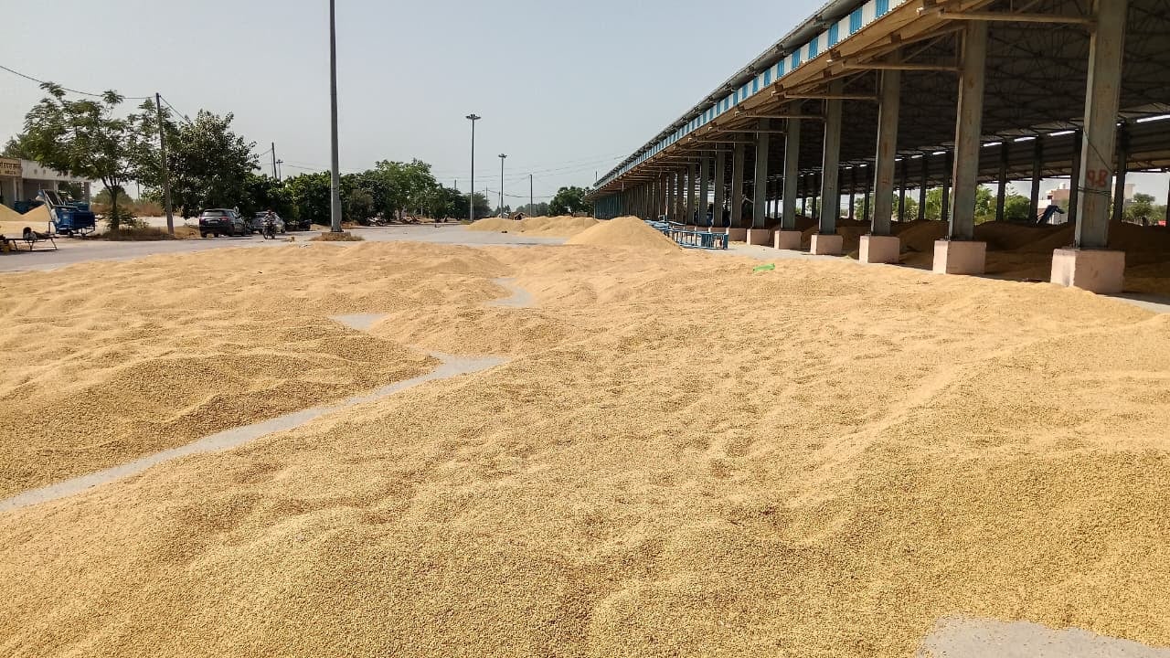 शहर नई अनाजमंडी मंडी में बंद पड़ी कैंटीन। संवाद शहर नई अनाजमंडी मंडी में बंद पड़ी कैंटीन। संवाद