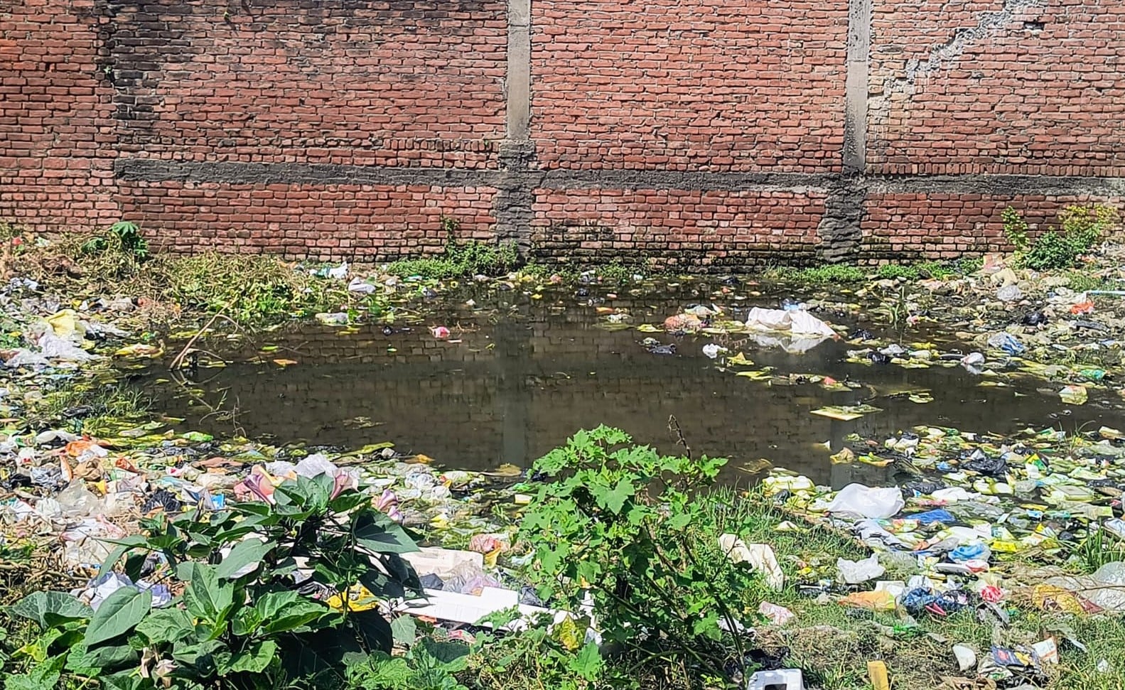तिकोलाघाट के पास बाढ़ग्रस्त क्षेत्र का निरीक्षण करते एडीएम व अन्य अधिकारी। संवाद तिकोलाघाट के पास बाढ़ग्रस्त क्षेत्र का निरीक्षण करते एडीएम व अन्य अधिकारी। संवाद